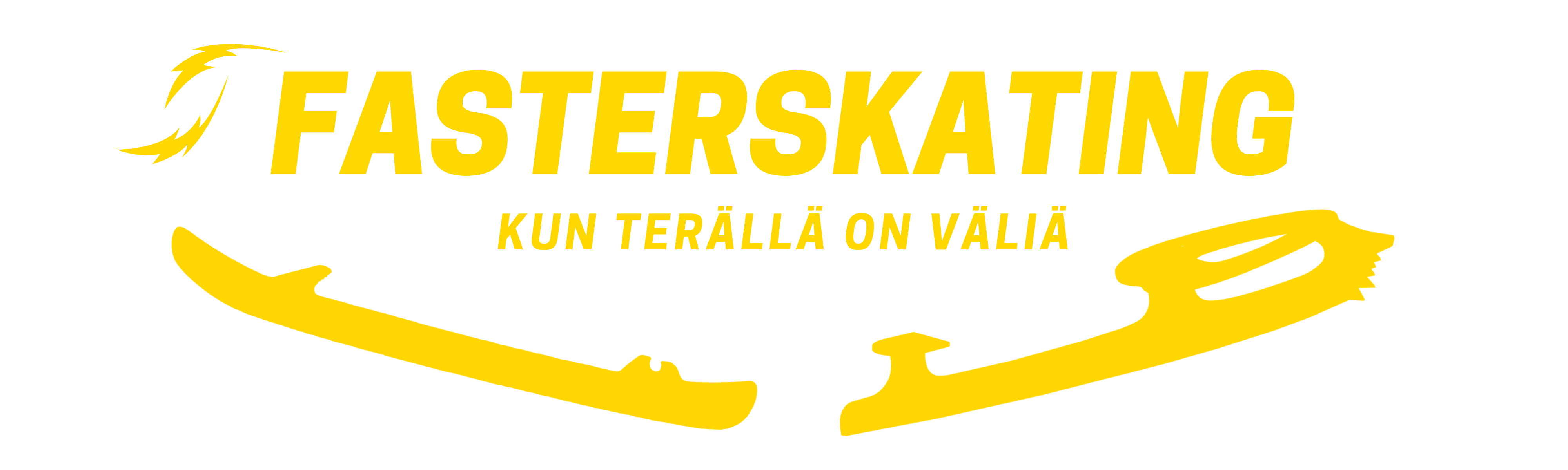 FasterSkating - Paras luistinten teroitus- ja huoltopalvelu